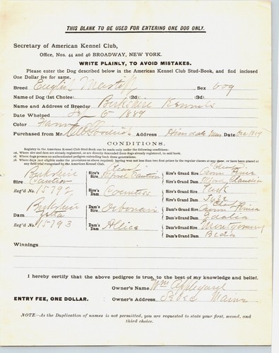 Handwritten 1889 american - 1889,