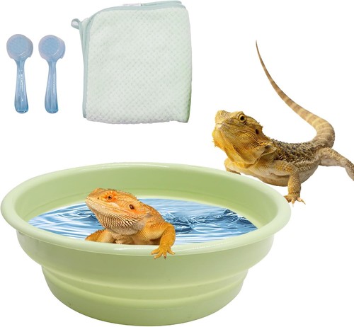 Dnoifne bearded dragon bath - bearded,