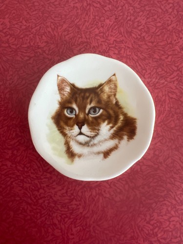 Vintage cat tabby miniature - tabby,