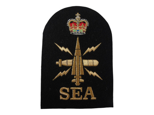 Royal navy petty - royal, officer