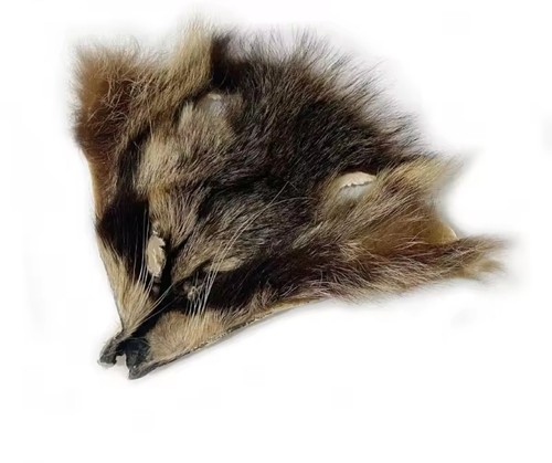 Raccoon mask fly tying - raccoon,