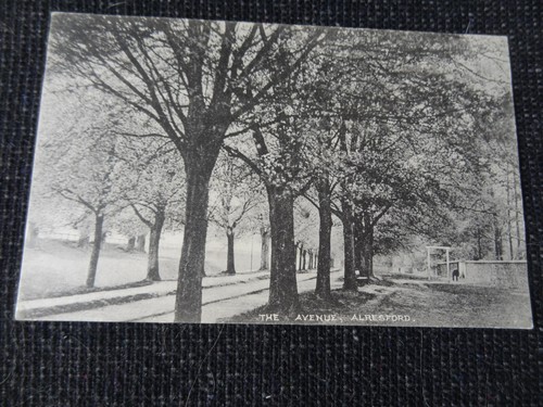 The avenue alresford postcard - the,