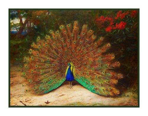 Naturalist thorburn peacock - naturalist,