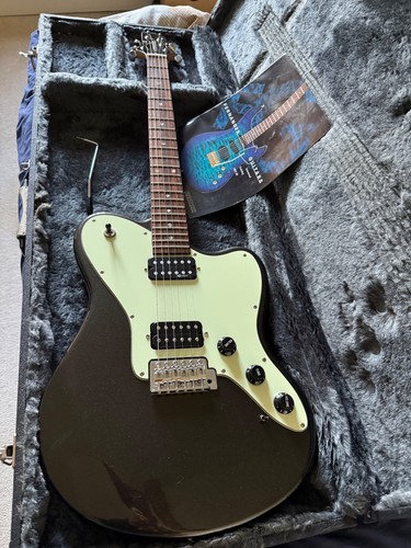 Fernandes sustainer guitar - sustainer,