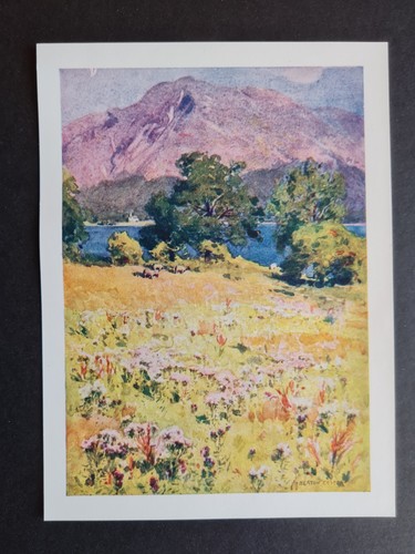 Antique 1908 print - ,