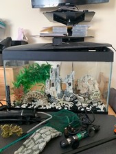 fish tank used 50 litres and accessories  size 59x31x39 cm