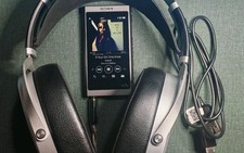 Sony NW-A55 Non European model