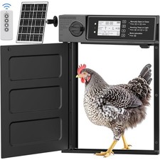 Large Size Automatic Chicken