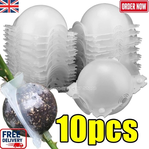 Plant rooting ball air - rooting,