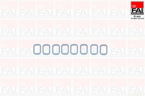 Fai inlet manifold gasket - fai, (8