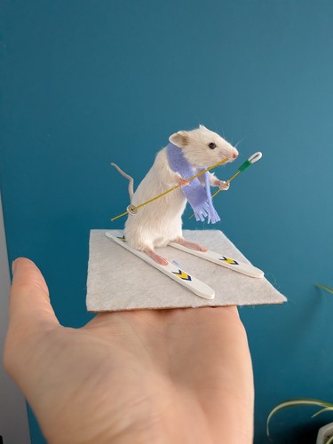 Taxidermy skiing mouse - mouse,
