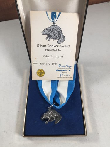 1984 boy scout - boy, beaver