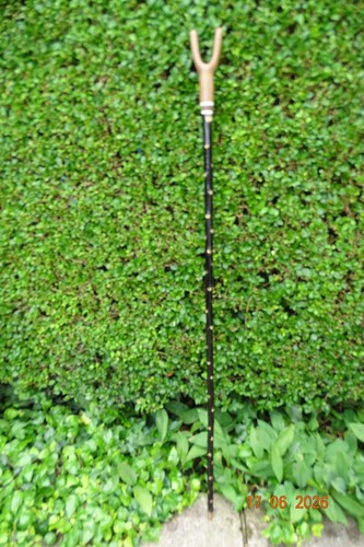 Blackthorn walking stick - , with
