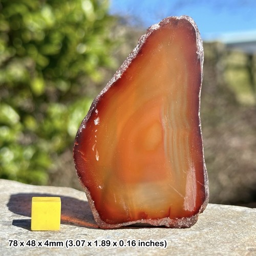 Natural agate slice - natural,