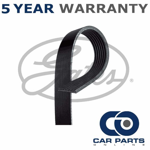 Gates ribbed belts fits - v-ribbed,