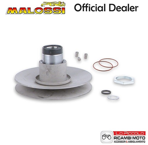619733 malossi torque - malossi,