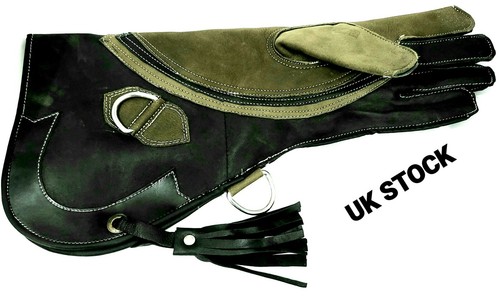 Eagle and falconry glove - and, 4