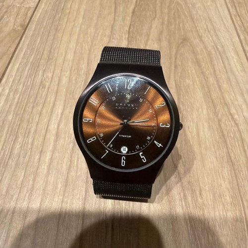 Skagen titanium watch - skagen,