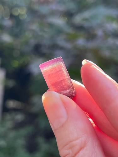 Watermelon tourmaline fine - watermelon,