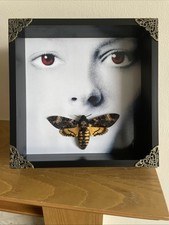 Death's Head Hawkmoth Silence