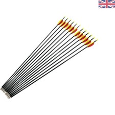 Petron Fibreglass Archery Target Arrows - 28 Inch, Pack of 12, Lightweight Re...