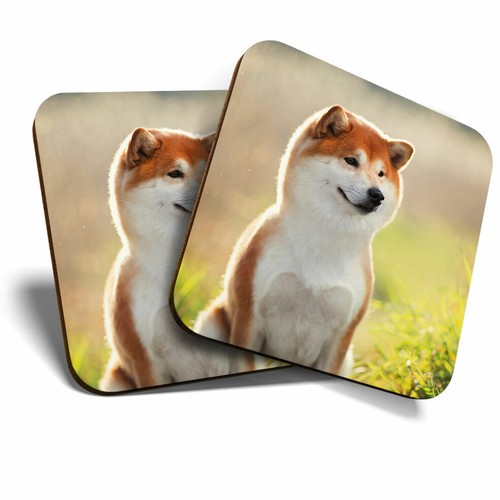 Coasters shiba inu akita - 2, x