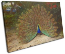 Archibald Thorburn Peacock