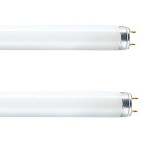 Fluorescent tube f58w 865 - 2,