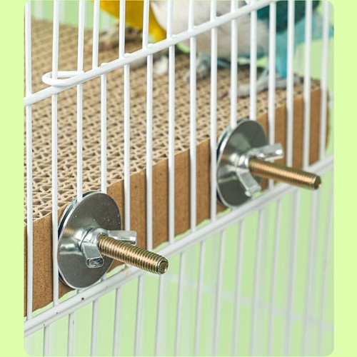 Bird paper parakeet shredding - paper,