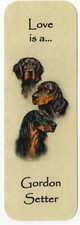 GORDON SETTER DOG BEAUTIFUL