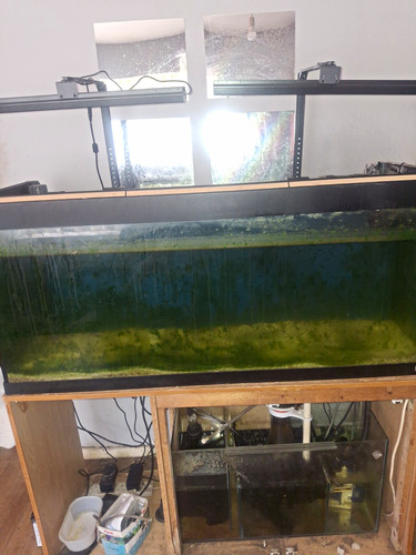 Complete setup marine fish - marine,