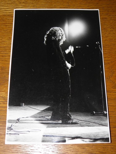Led zeppelin 1969 vintage pete - zeppelin,