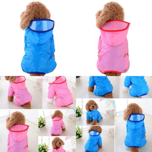 Dog puppy pet pink - puppy, blue