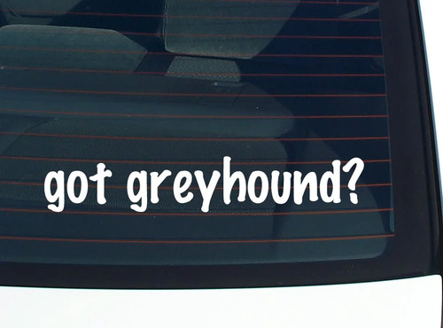 Got greyhound car - got, greyhound?