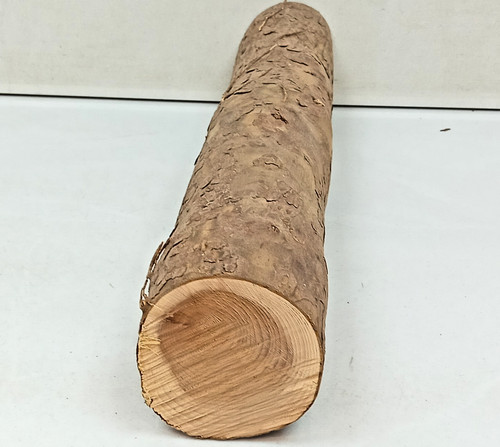 Year air dried yew - yew, log