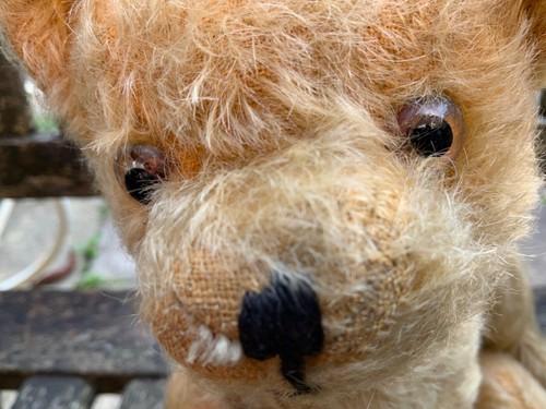 Flora antique farnell teddy - farnell,