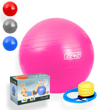 EXERCISE GYM BALL SWISS