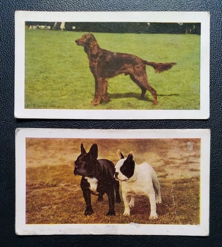 Hornimans tea cards - tea, cards: