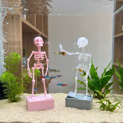 Aquarium tank fish - fish,