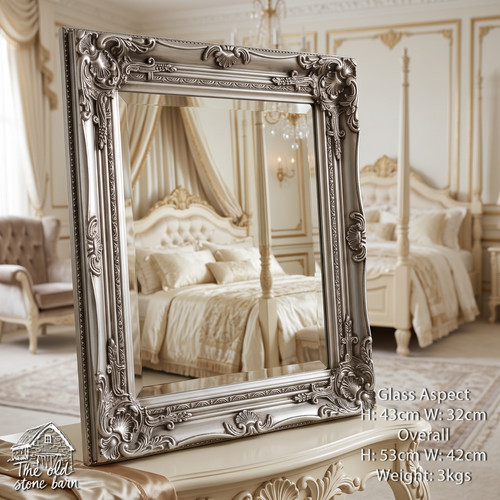 Silver wall mirror ornate - mirror,