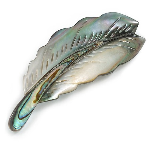 Mother pearl abalone - of,