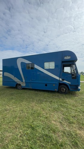 Iveco horse box lorry - iveco,