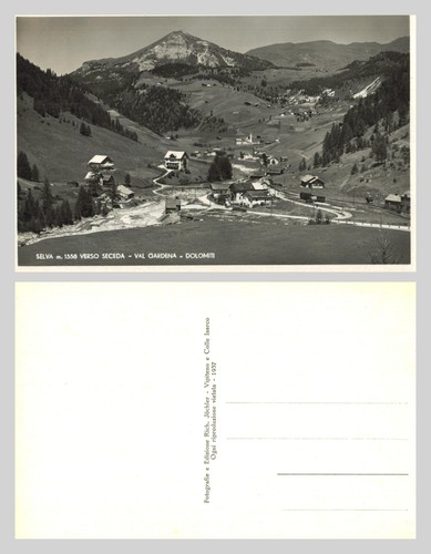 Vintage postcard selva - postcard,