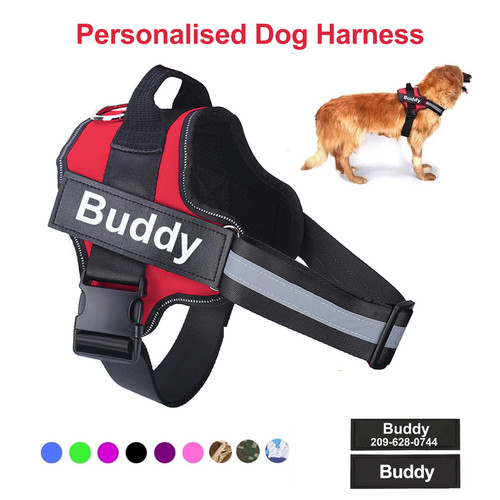 Personalized dog harness - dog, no