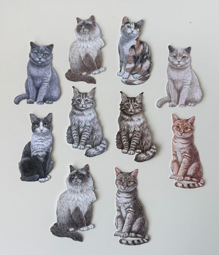 The studio diecuts - in,