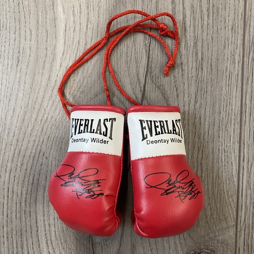 Deontay wilder mini boxing - deontay,