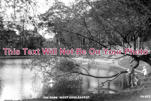 2258 the pond - the,