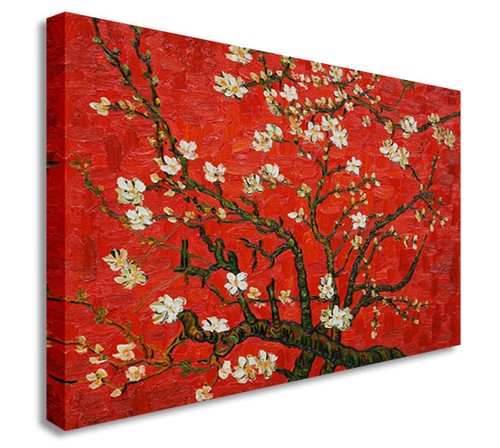 Almond blossoms van - blossoms, gogh