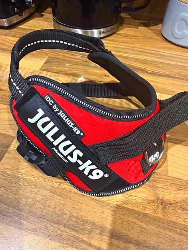 Julius idc powerharness - julius-k9,