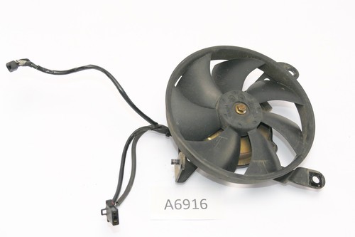 Honda 600 hornet pc36 - hornet,
